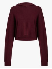 Džemperis sievietēm Calvin Klein, sarkans cena un informācija | Sieviešu džemperi | 220.lv
