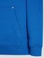 Karl Lagerfeld Jeans džemperis vīriešiem Box Logo 240D1809, zils cena un informācija | Vīriešu jakas | 220.lv