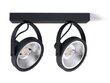 MasterLed virsgaismas sienas/galda gaismeklis LED Leon x2 цена и информация | Griestu lampas | 220.lv