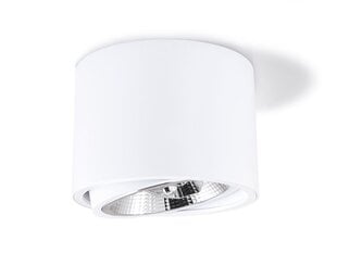 Koloreno sienas un griestu LED gaismeklis Orbit AR111 cena un informācija | Griestu lampas | 220.lv