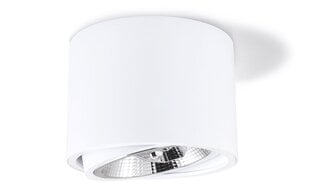 Koloreno sienas un griestu LED gaismeklis Orbit AR111 цена и информация | Потолочные светильники | 220.lv