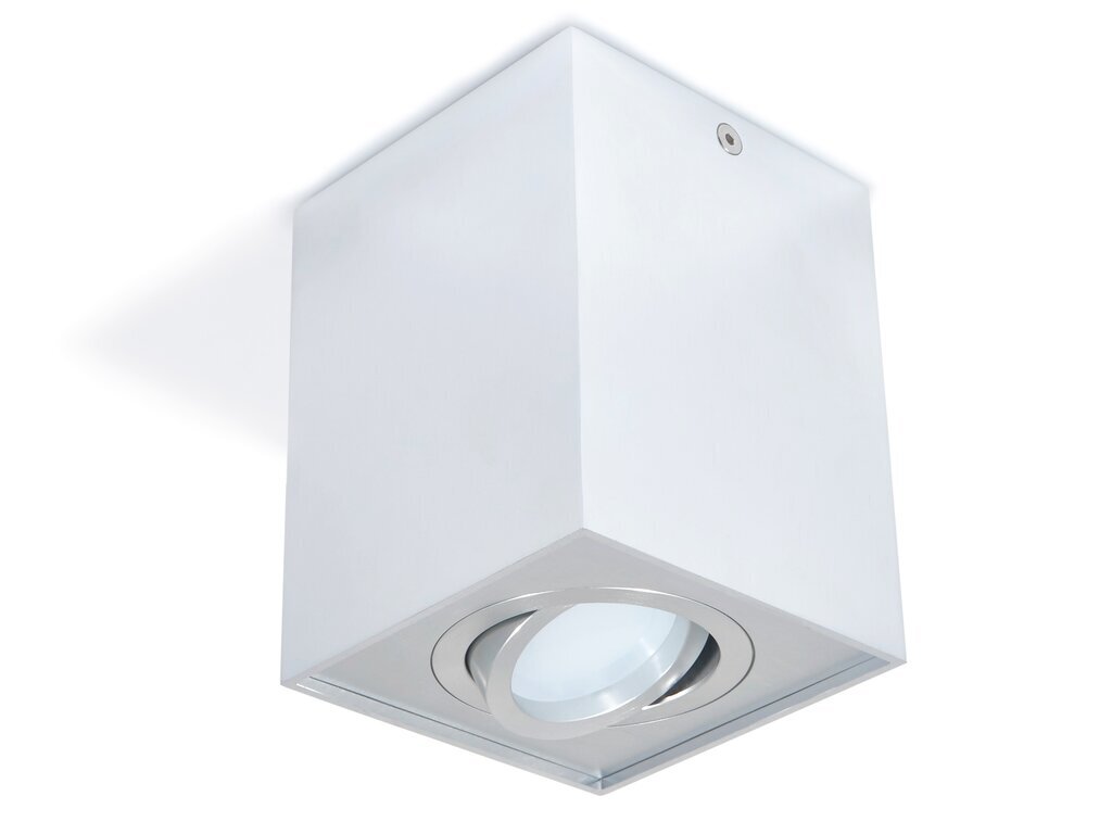 Koloreno pārvietojams halogēna gaismeklis LED Busto L x1 цена и информация | Griestu lampas | 220.lv