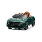 Bērnu elektroauto Bentley Bacalar 2.4G, zaļš цена и информация | Bērnu elektroauto | 220.lv