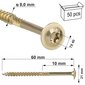 50 gab. Skrūves kokam 8x60 mm, plakana, TORX, Klimas WKCP цена и информация | Stiprinājumi | 220.lv