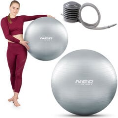 Vingrošanas bumba ar pumpi Neo Sport NS-951, 65 cm, sudraba цена и информация | Гимнастические мячи | 220.lv