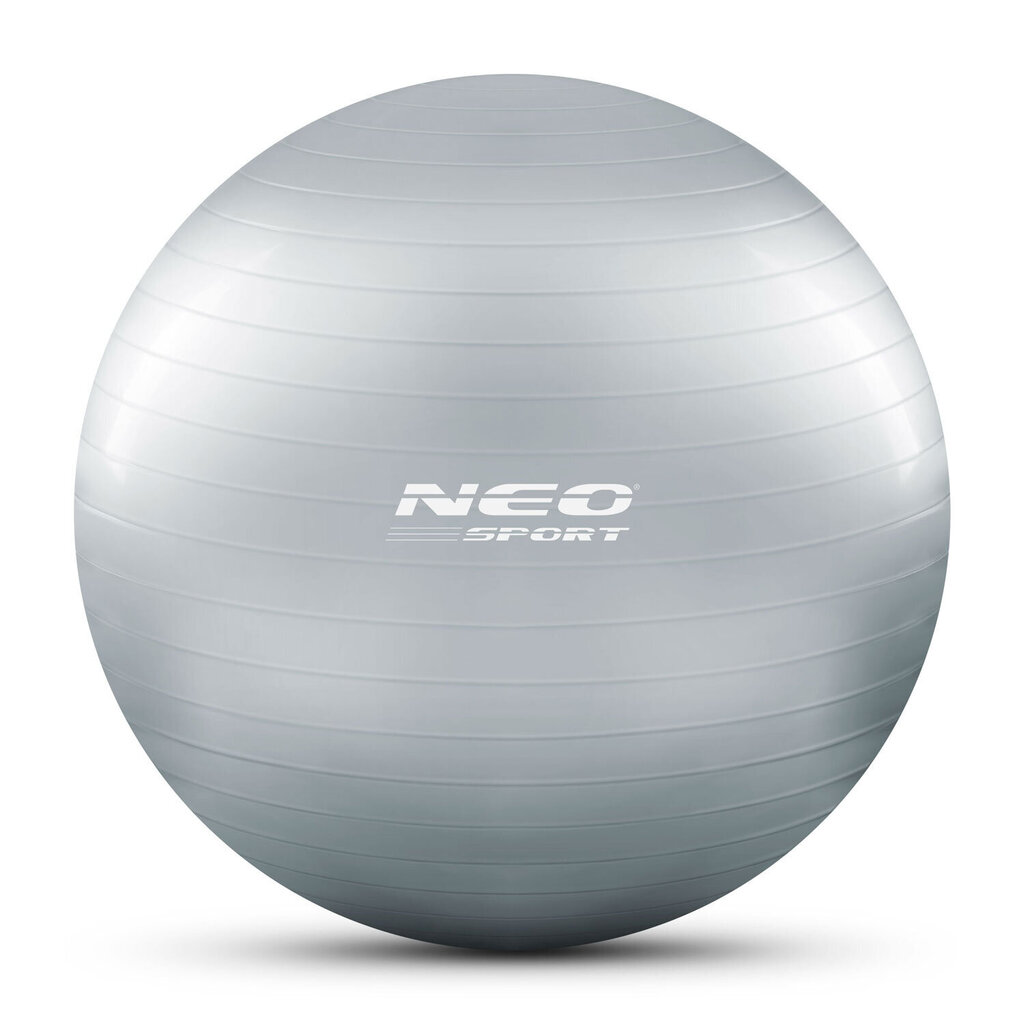 Vingrošanas bumba ar pumpi Neo Sport NS-952, 75 cm, sudraba cena un informācija | Vingrošanas bumbas | 220.lv