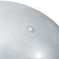 Vingrošanas bumba ar pumpi Neo Sport NS-952, 75 cm, sudraba cena un informācija | Vingrošanas bumbas | 220.lv