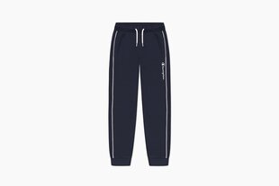 Детские спортивные штаны Champion 306146-BS501 синие 306146-BS501-M цена и информация | Штаны для мальчика ABN-2894/CZA/098 | 220.lv