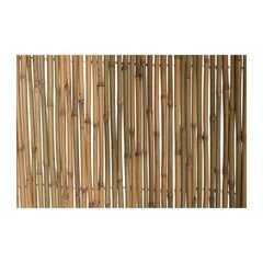 Bambusa žogs 4living, 2x3m cena un informācija | Žogi un piederumi | 220.lv