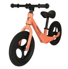 Velosipēds Trike Fix Active X2 цена и информация | Балансировочные велосипеды | 220.lv