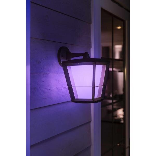 Āra lampa Philips hue econic, 1 gab. цена и информация | Āra apgaismojums | 220.lv