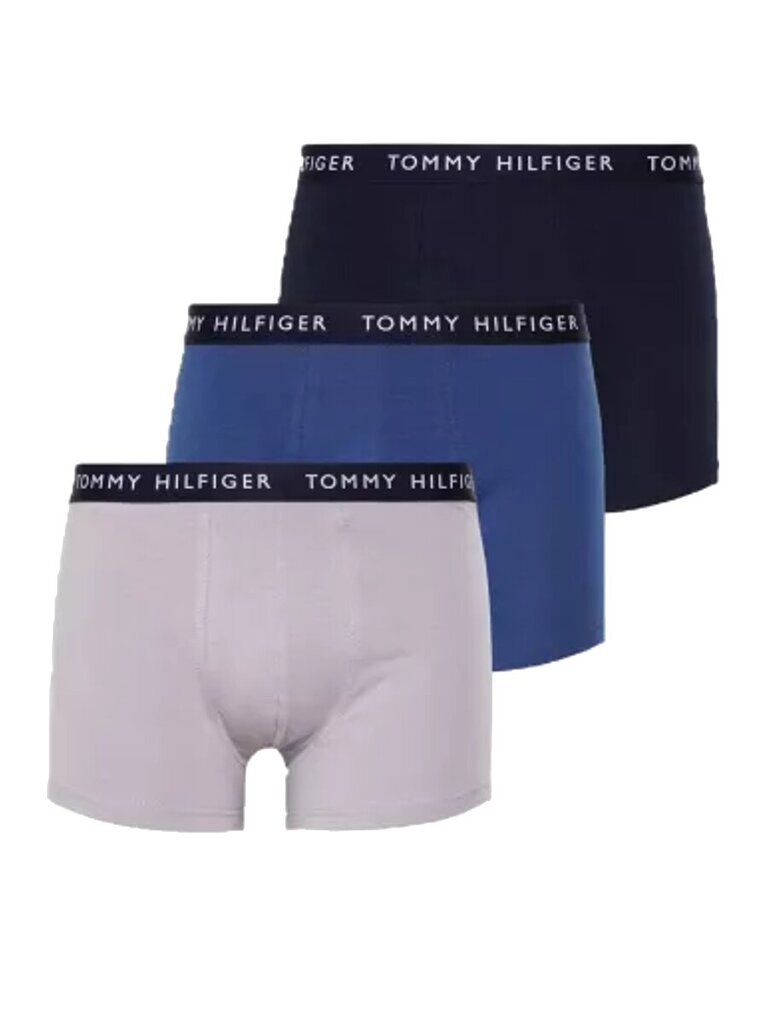 Tommy Hilfiger bokseršorti vīriešiem Des Sky Bold Blu Light Cast 545661948, dažādu krāsu, 3 gab. cena un informācija | Vīriešu apakšbikses | 220.lv