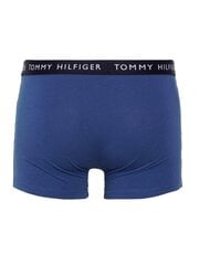 Боксеры Tommy Hilfiger Des Sky Bold Blu Light Cast, 3 пары цена и информация | Мужские трусы Nek, черные | 220.lv
