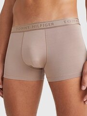 Tommy Hilfiger bokseršorti vīriešiem Trunk Brown 545661978, brūni cena un informācija | Vīriešu apakšbikses | 220.lv