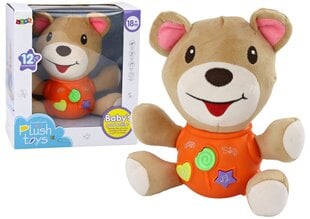 Interaktīvais lācītis Lean Toys, 23 cm цена и информация | Мягкие игрушки | 220.lv