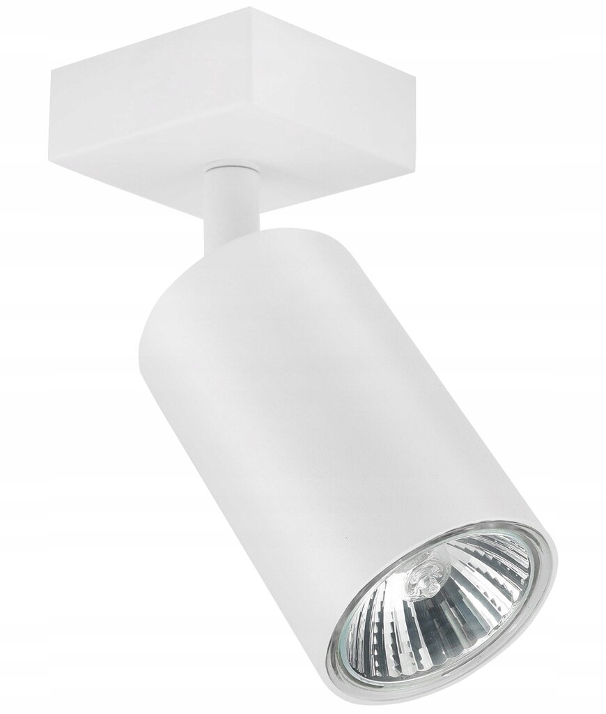 Led-lux griestu lampa AL-597 cena un informācija | Griestu lampas | 220.lv