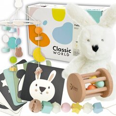 Детский развивающий набор в коробке Classid World цена и информация | Игрушки для малышей | 220.lv
