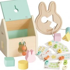 Izglītojošu rotaļlietu komplekts mazuļiem Classic World, Welcome Learning Box, 25 gab. cena un informācija | Rotaļlietas zīdaiņiem | 220.lv