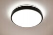 Led-lux griestu lampa AL-592 cena un informācija | Griestu lampas | 220.lv