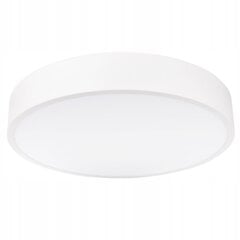 Led-lux griestu lampa AL-593 цена и информация | Потолочные светильники | 220.lv