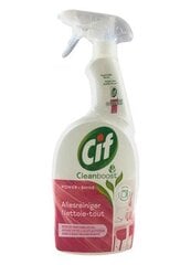 Cif Power universāls aerosols, 750 ml cena un informācija | Tīrīšanas līdzekļi | 220.lv