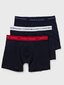 Tommy Hilfiger bokseršorti vīriešiem Signature Cotton Essentials Brief WB 545663294, zili, 3 gab. цена и информация | Vīriešu apakšbikses | 220.lv