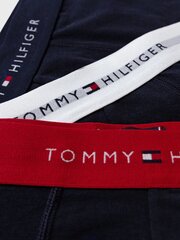 Боксеры Tommy Hilfiger Signature Cotton Essentials Brief WB 3P Desert Sky/White/Primary Red цена и информация | Мужские трусы Nek, черные | 220.lv