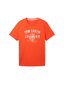 Tom Tailor vīriešu t-krekls, oranžs цена и информация | Vīriešu T-krekli | 220.lv