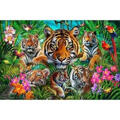 Puzle un domino komplekts Educa Tiger jungle 500 Daudzums цена и информация | Пазлы | 220.lv
