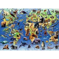 Puzle Educa Danger of extinction 500 gab cena un informācija | Puzles, 3D puzles | 220.lv