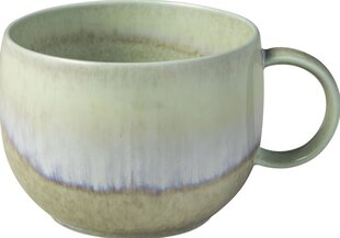 Villeroy &amp; Boch чашка для кофе, 0,27 л цена и информация | Стаканы, фужеры, кувшины | 220.lv