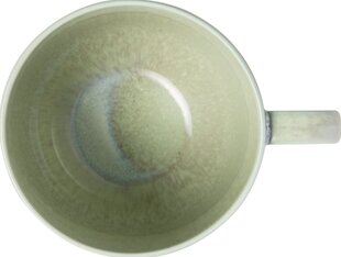 Villeroy &amp; Boch чашка для кофе, 0,27 л цена и информация | Стаканы, фужеры, кувшины | 220.lv