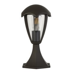 Searchlight уличный декоративный светильник Bluebell 57892-300, 1 шт. цена и информация | Уличное освещение | 220.lv