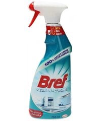 Bref Keuken Cuisine tīrīšanas aerosols, 750 ml cena un informācija | Tīrīšanas līdzekļi | 220.lv