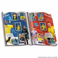 Uzlīmju albums Panini France Football cena un informācija | Attīstošās rotaļlietas | 220.lv