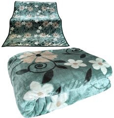 Одеяло, 160x210 см цена и информация | Одеяла | 220.lv