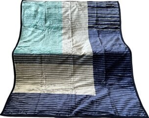 Одеяло, 160x210 см цена и информация | Одеяла | 220.lv