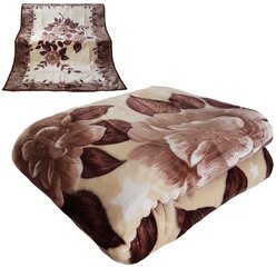 Одеяло, 200x240 см цена и информация | Одеяла | 220.lv