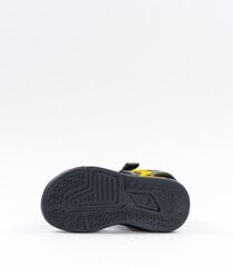 Детские сандалии Clibee 440330 02, оливковый/желтый 440330*02-032 цена и информация | Детские сандали | 220.lv