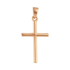 Золотой католический крестик Brasco 57541 57541 цена и информация | Украшения на шею | 220.lv