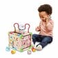 Aktivitāšu centrs Vtech Baby 80-617105​​​​​​ цена и информация | Rotaļlietas zīdaiņiem | 220.lv