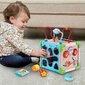 Aktivitāšu centrs Vtech Baby 80-617105​​​​​​ цена и информация | Rotaļlietas zīdaiņiem | 220.lv