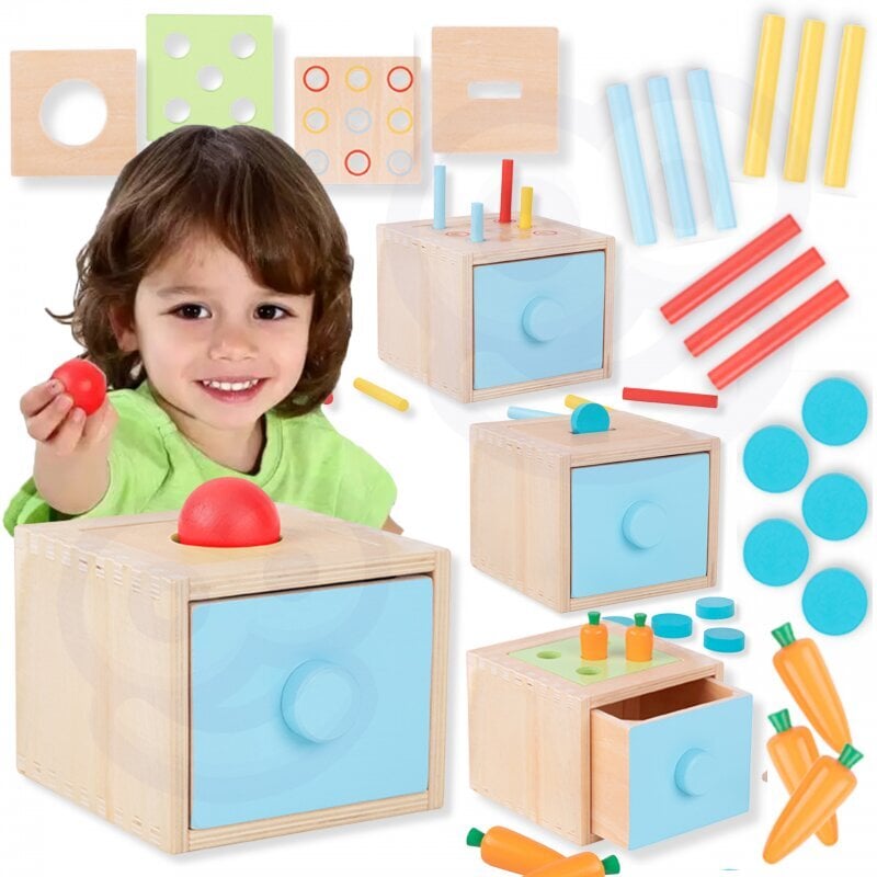 Koka Montessori šķirošanas kubs 4in1, Tooky Toy cena un informācija | Attīstošās rotaļlietas | 220.lv