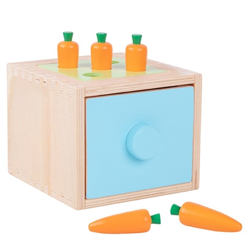 Koka Montessori šķirošanas kubs 4in1, Tooky Toy cena un informācija | Attīstošās rotaļlietas | 220.lv