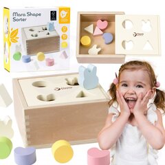 Деревянный сортер для детей Classid World, 10 штук цена и информация | Игрушки для малышей | 220.lv