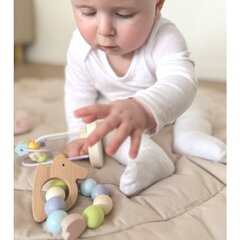 Набор детских развивающих игрушек в коробке Classid World цена и информация | Игрушки для малышей | 220.lv