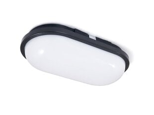 Овальный канальный светильник LED Torton 20W Black - Neutral White (4000K) IP65 цена и информация | Потолочные светильники | 220.lv