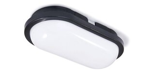 Овальный канальный светильник LED Torton 15W Black - Neutral White (4000K) IP65 цена и информация | Потолочные светильники | 220.lv