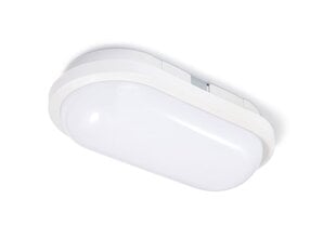 Eco-Light ovāla kanāla gaisma LED Torton цена и информация | Потолочные светильники | 220.lv