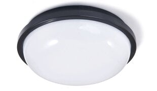 Eco-Light gaismas kanāla apgaismojums LED Torton цена и информация | Потолочные светильники | 220.lv